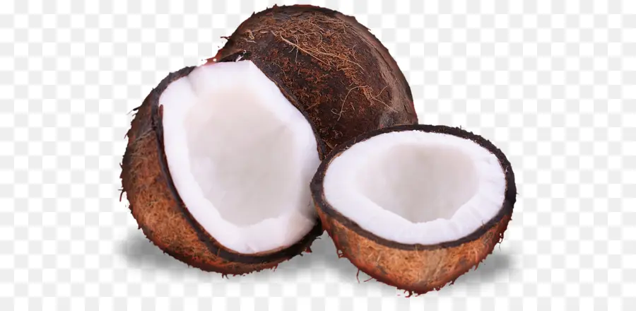 Noix De Coco，Tropical PNG