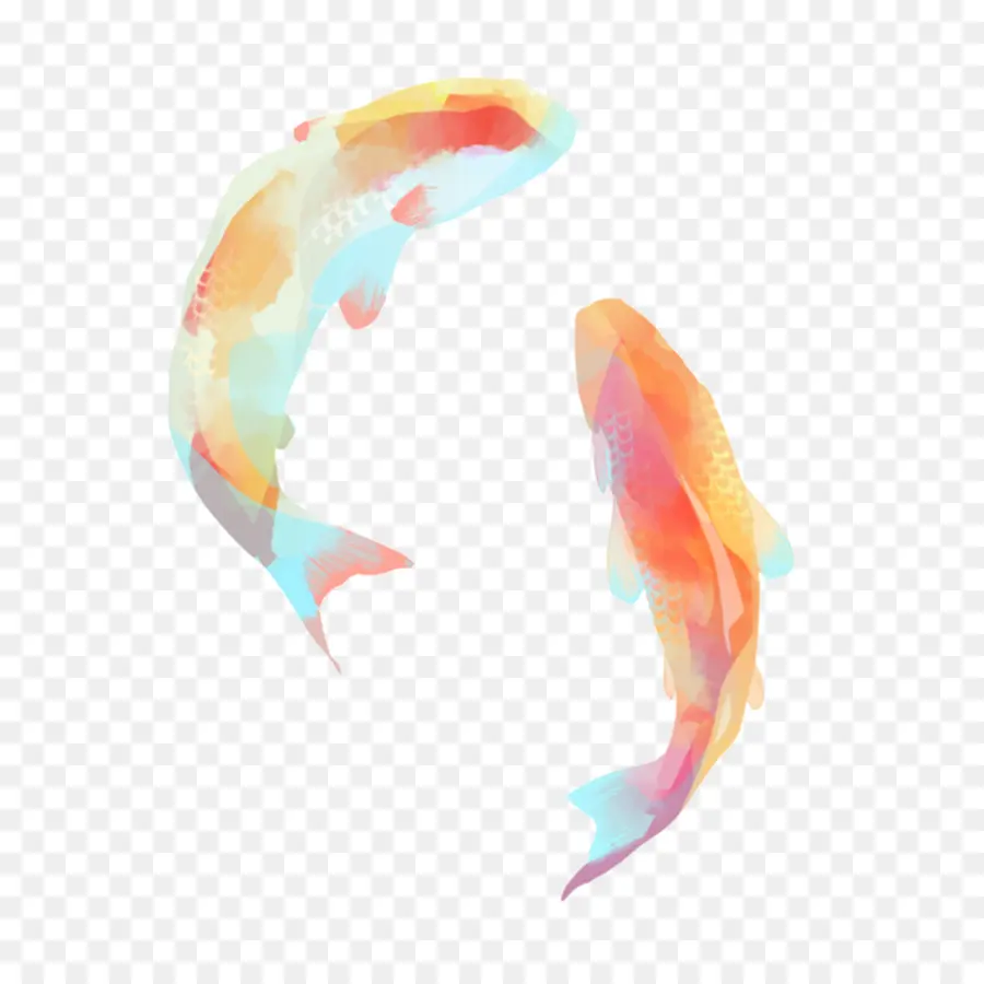 Poisson Koi，Eau PNG