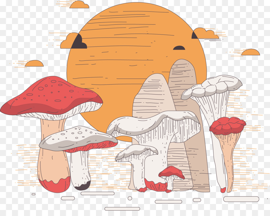 Champignons，Coucher De Soleil PNG