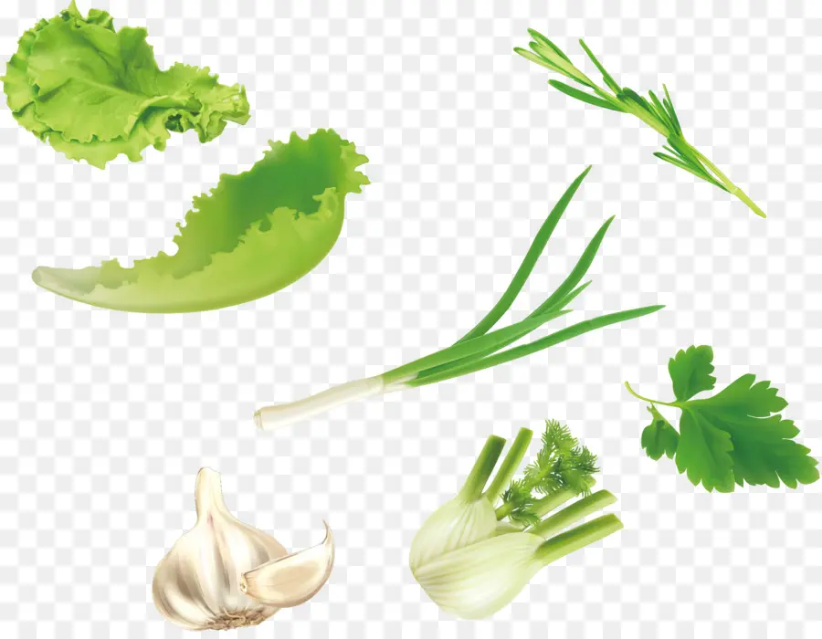 Légume Feuille，Légumes PNG