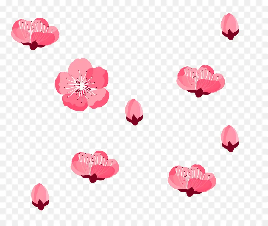 Fleurs De Cerisier，Rose PNG