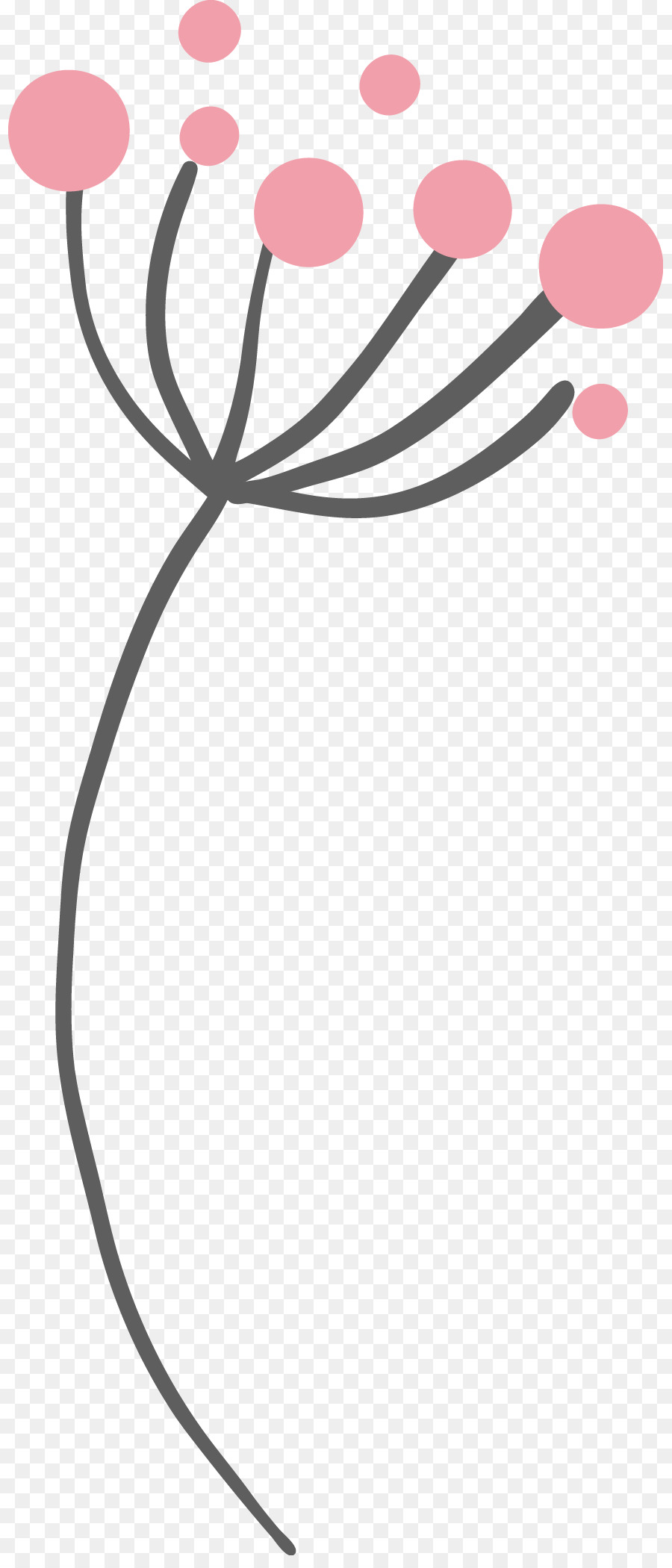 Fleur，Tige PNG