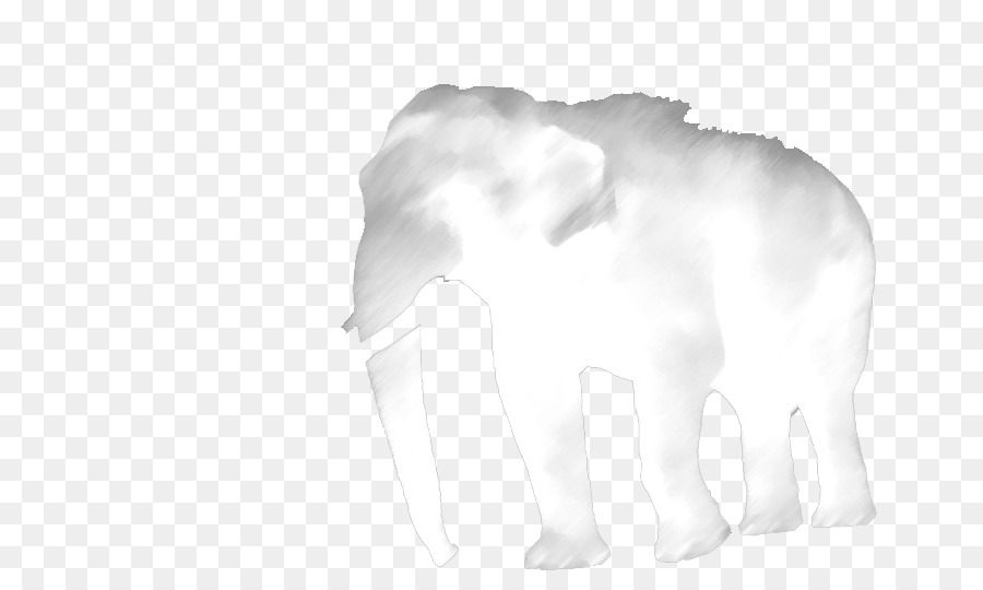 Éléphant Blanc，éléphant PNG