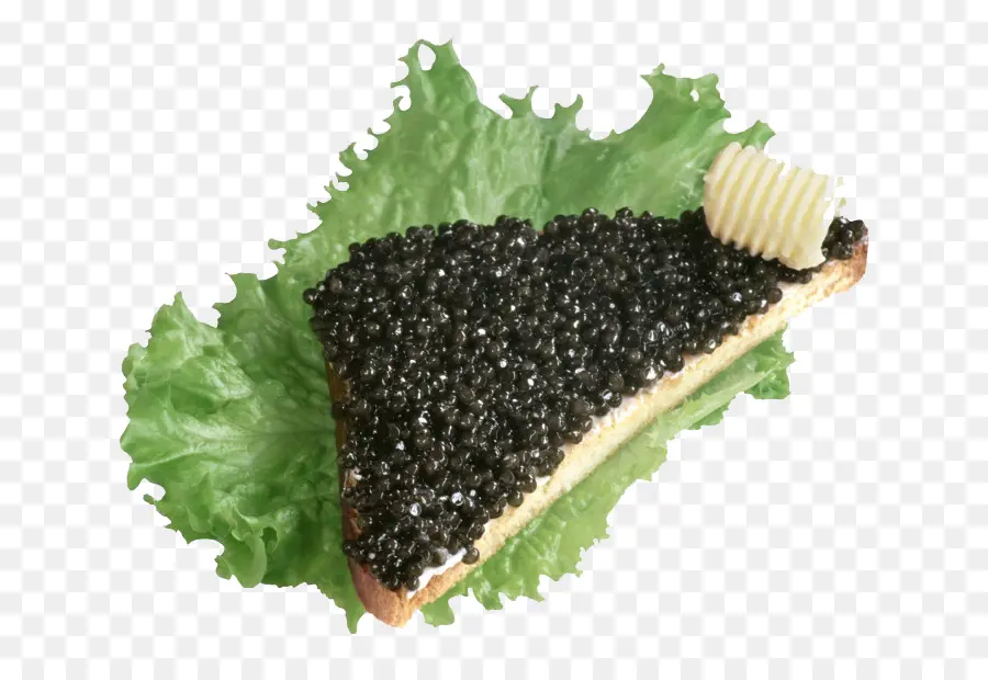 Caviar，Butterbrot PNG