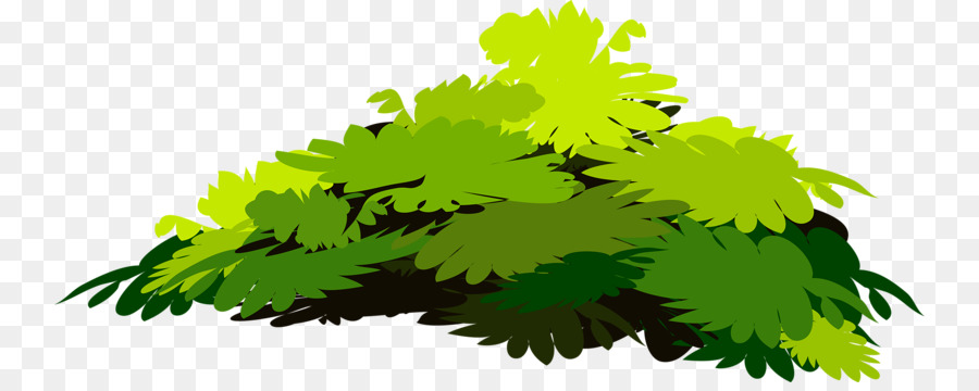 Buisson Vert，Feuilles PNG