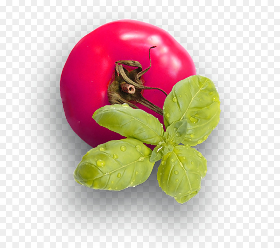 Tomate Et Basilic，Légume PNG