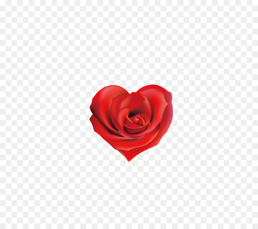 Coeur De Rose Rouge，Amour PNG