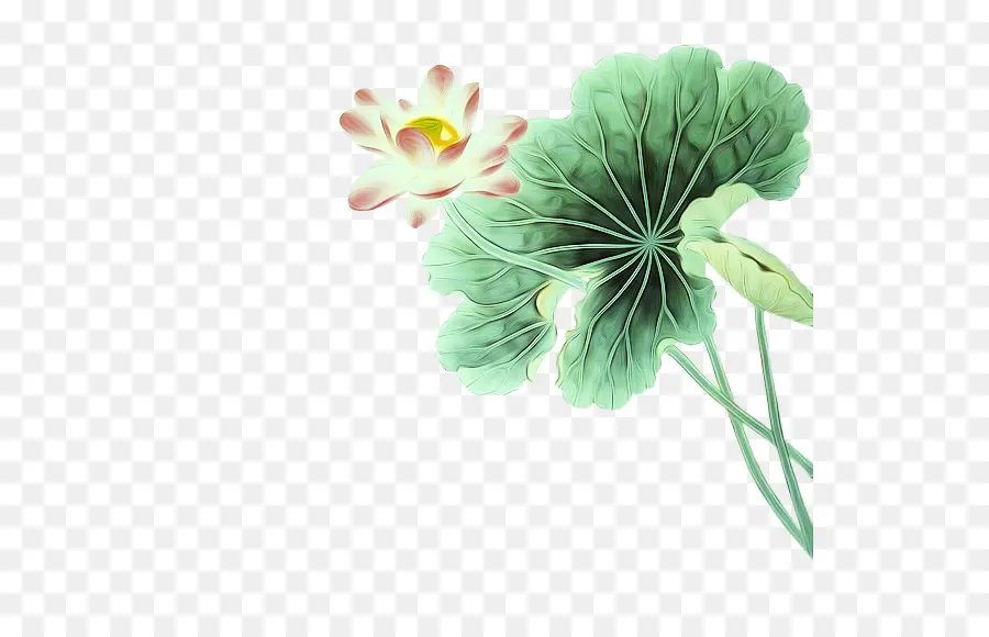 Fleur Et Feuille De Lotus，Lotus PNG