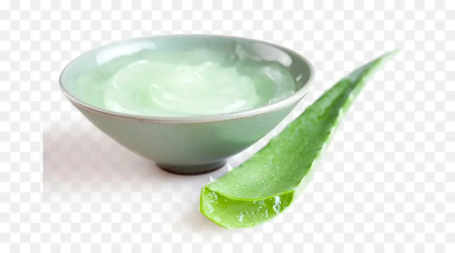 Gel D'aloe Vera，Aloé Véra PNG