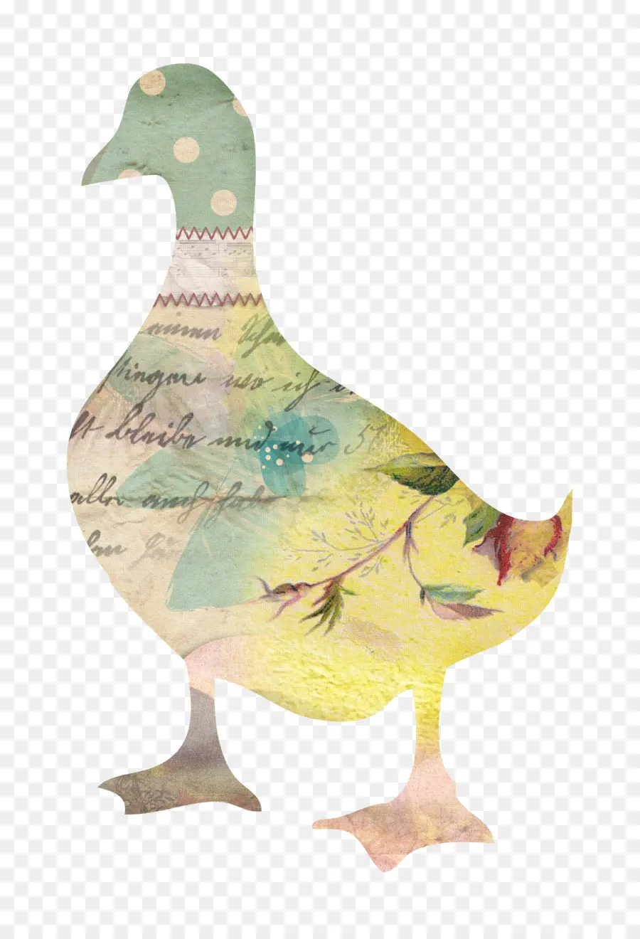 Canard，Modèle PNG