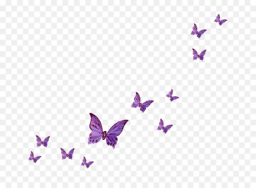 Papillon，Fly Butterfly PNG