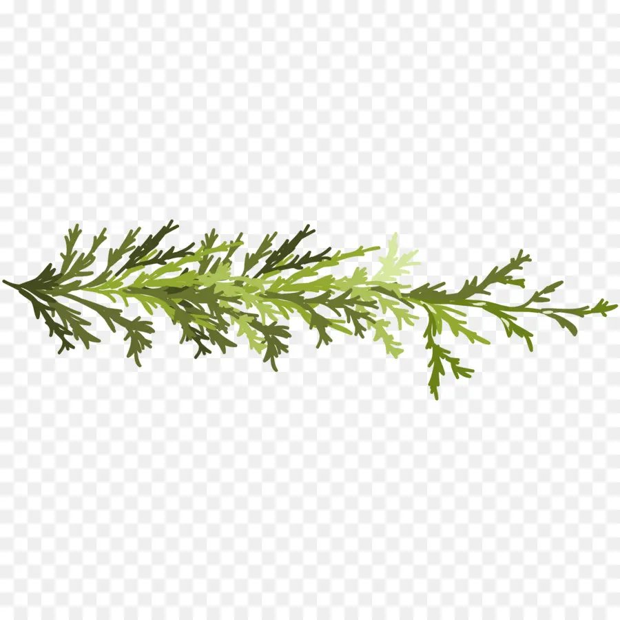 Herbe Verte，Usine PNG