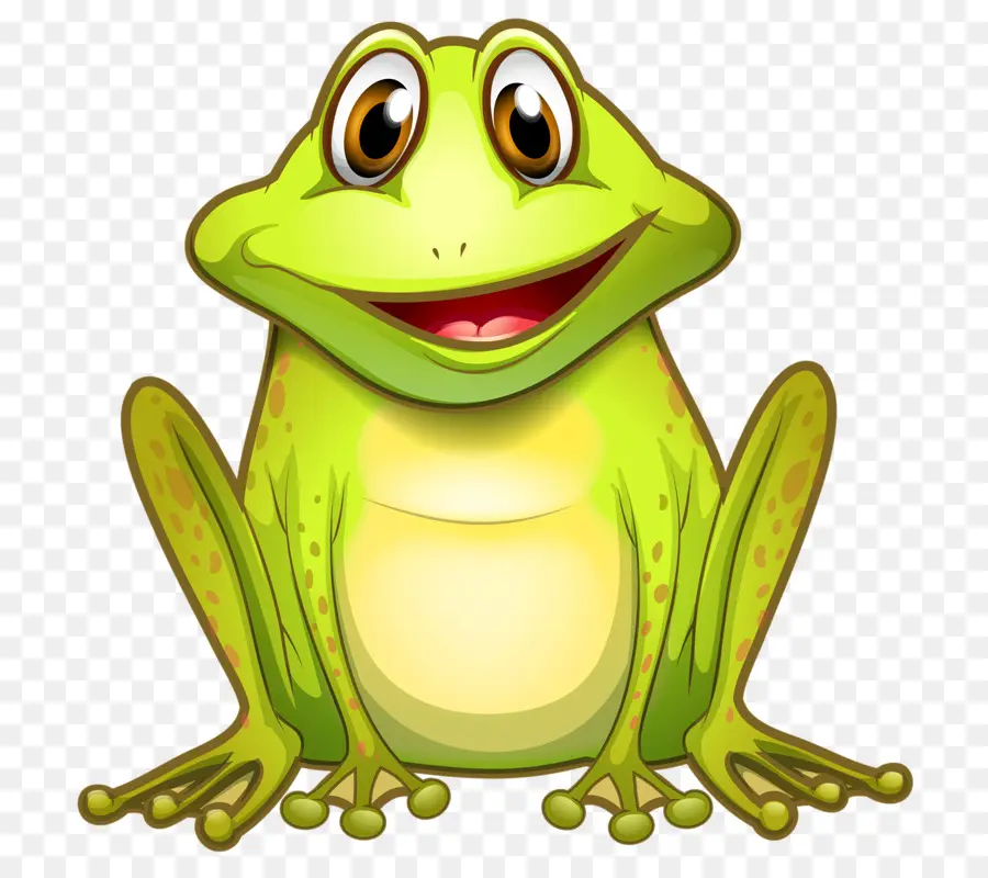 Grenouille，Grenouille Comestible PNG
