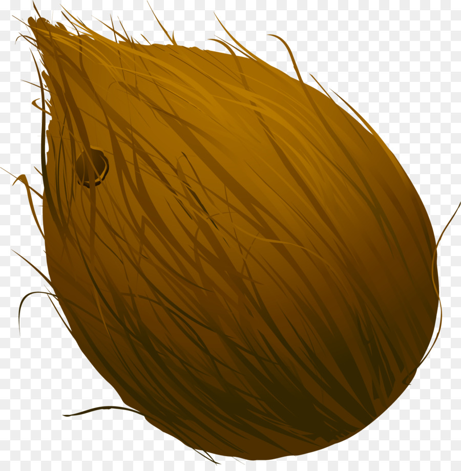 Noix De Coco，Fruit PNG