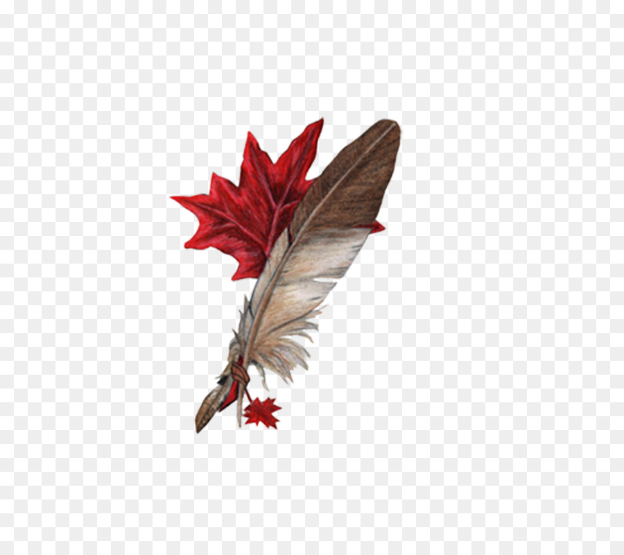 Plume Et Feuille D'érable，Automne PNG