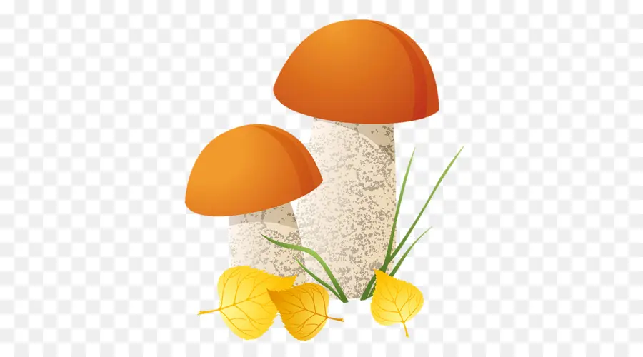 Champignon，Shiitake PNG