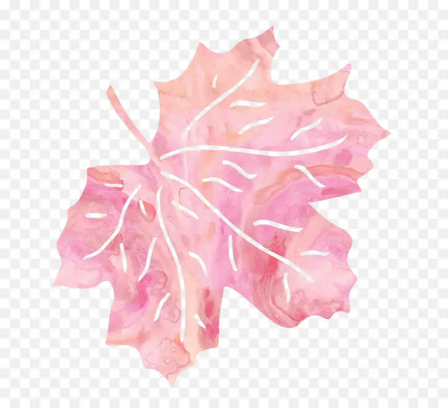 Feuille Rose，Automne PNG