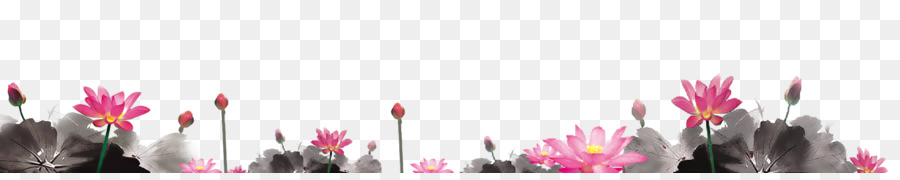 Fleurs，Rose PNG