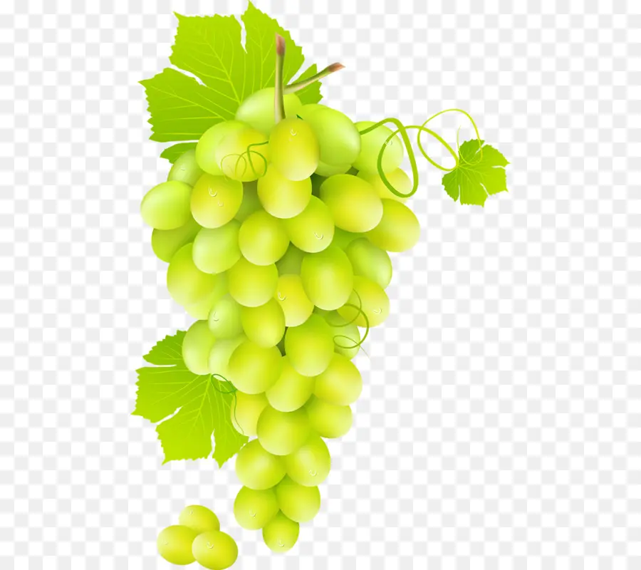 Vin，Jus PNG