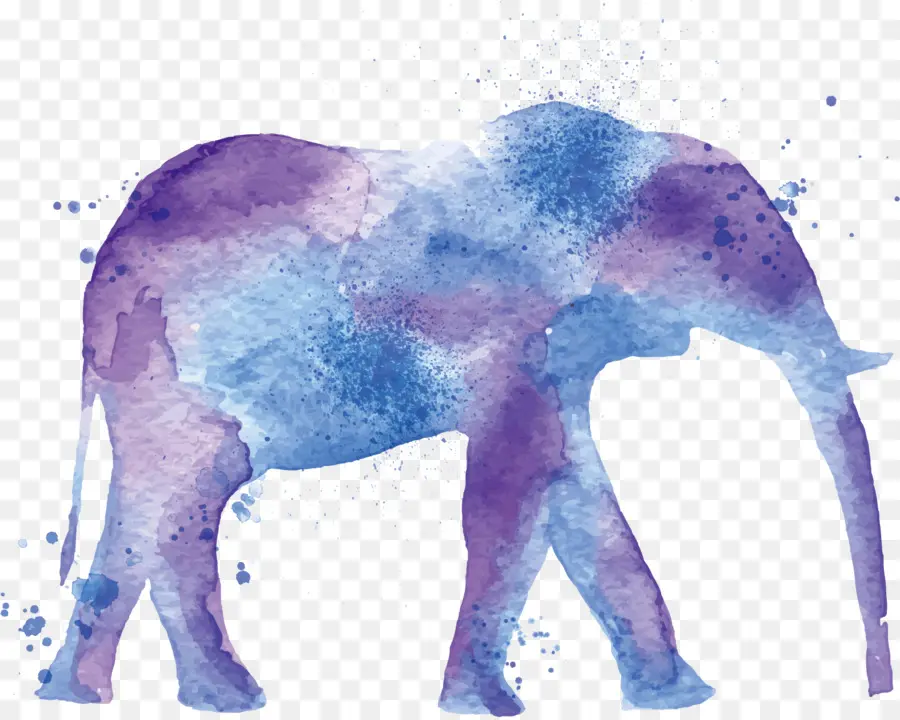 Éléphant Aquarelle，Art PNG