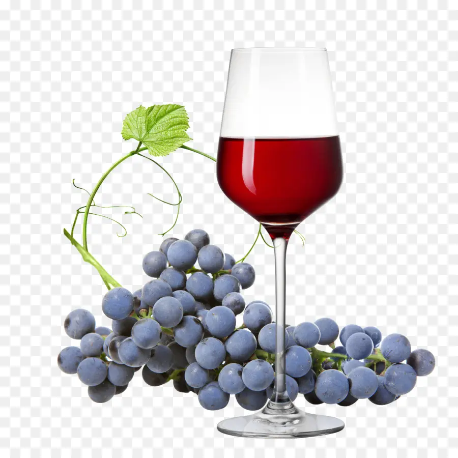 Vin Blanc，Dolcetto PNG