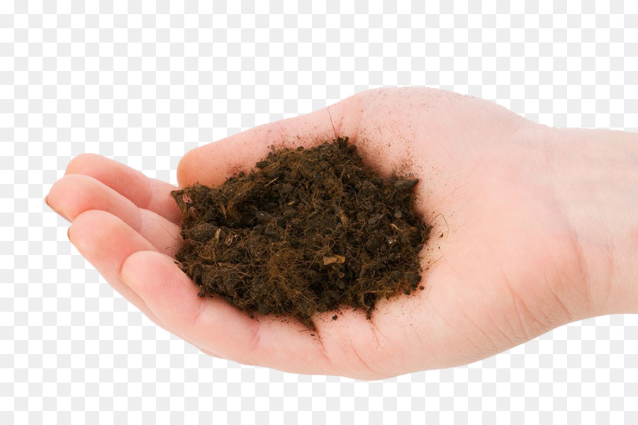 Sol，Vermicompost PNG