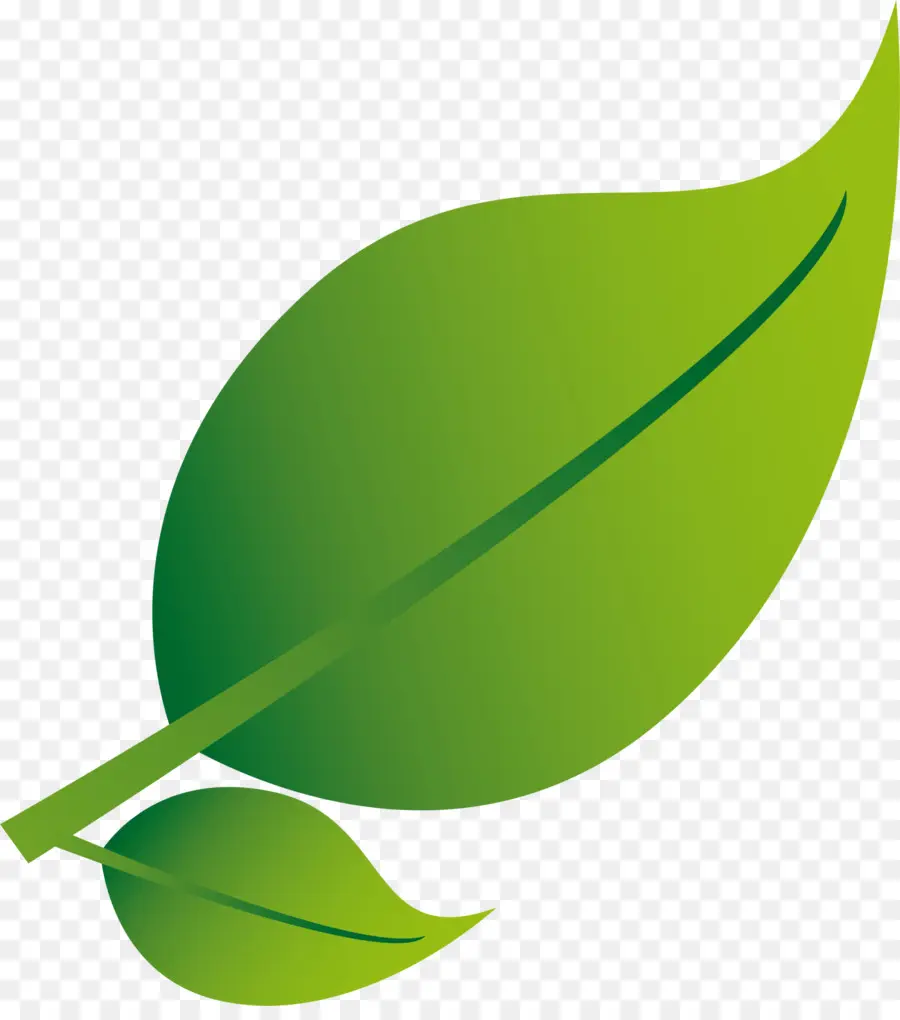 Feuille Verte，Usine PNG