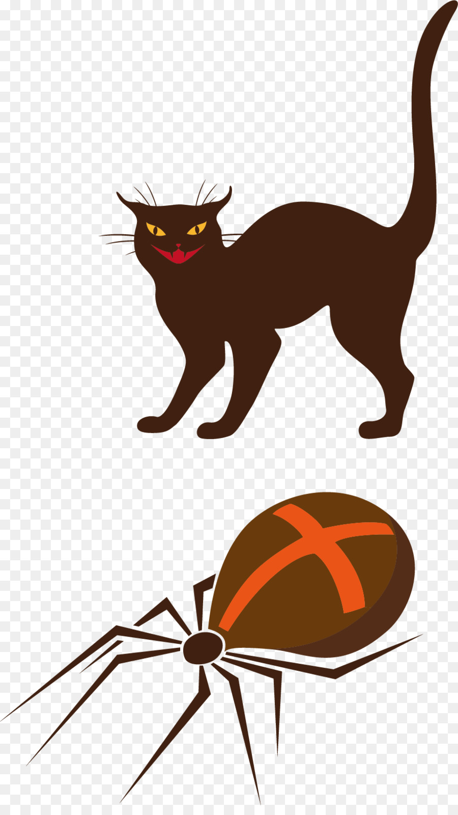 Chat Noir Et Araignée，Halloween PNG