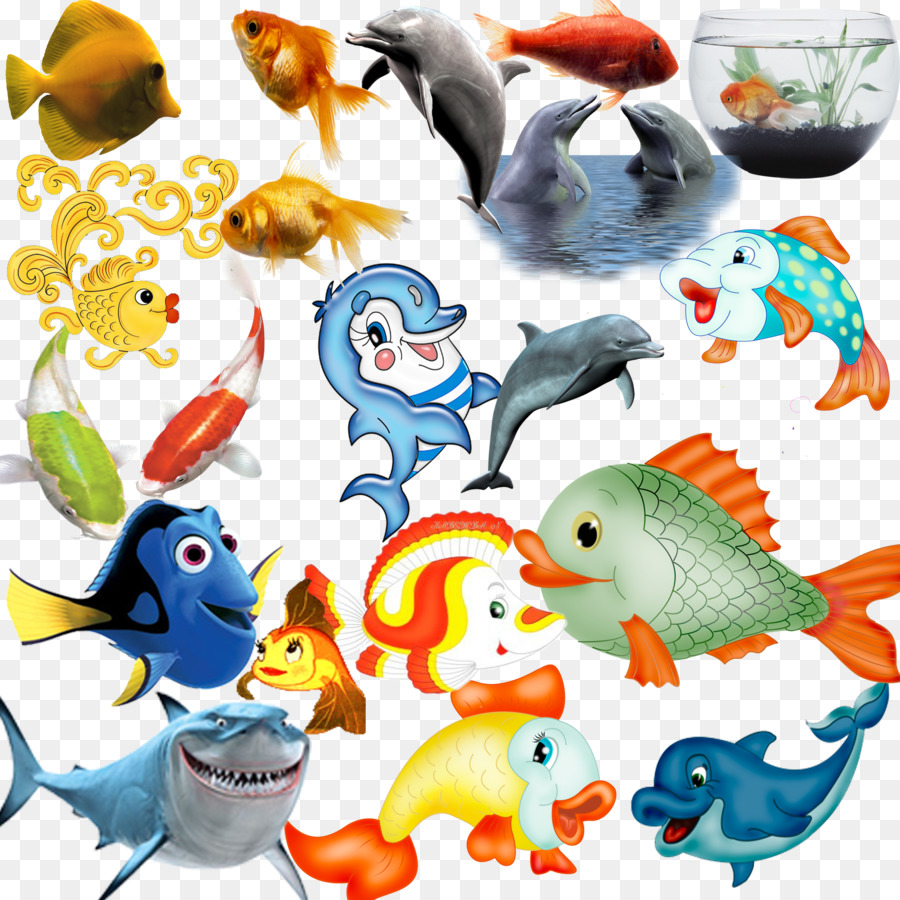 Poisson，Animation PNG