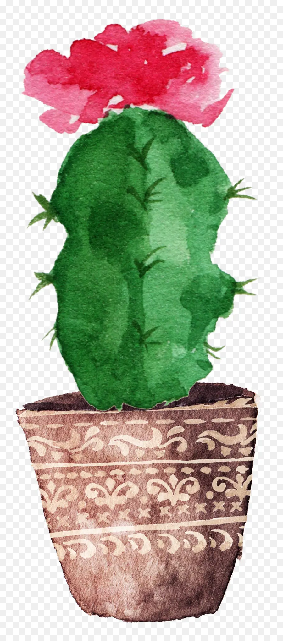 Cactus，Fleur PNG