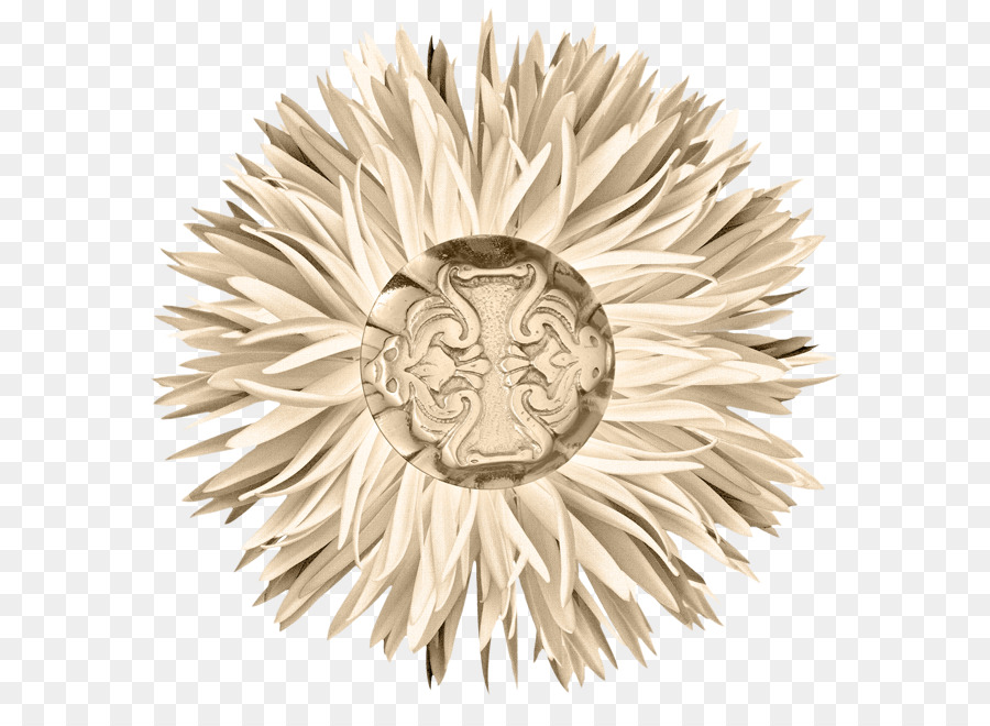 Google Images，Chrysanthème PNG