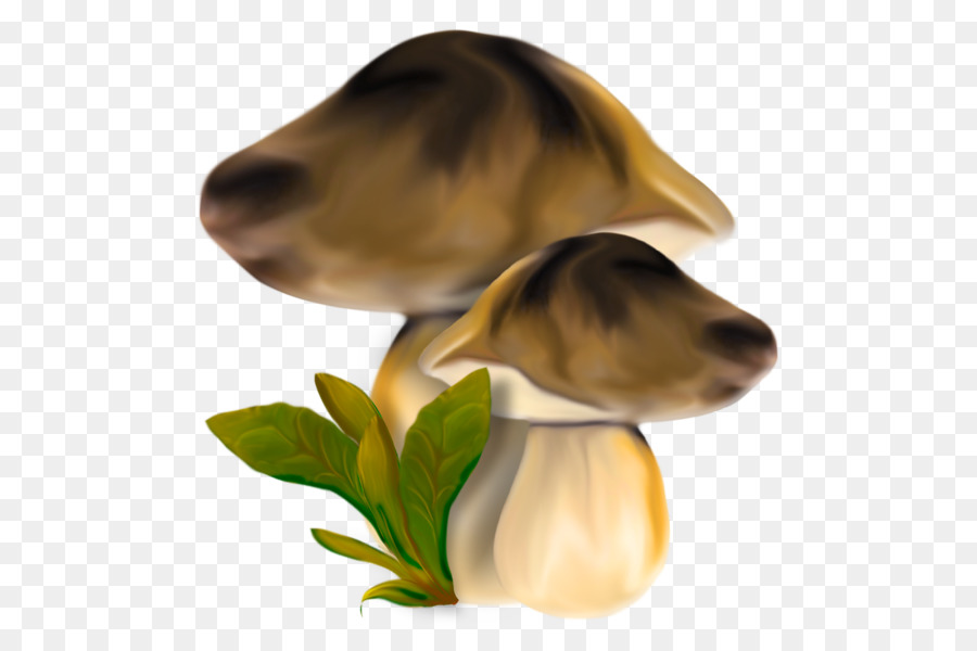 Champignon，Champignons PNG