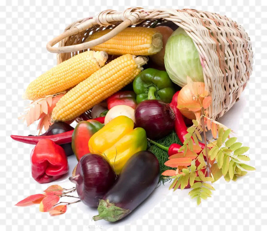 Alimentation Brute，Légumes PNG