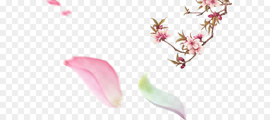 Fond Floral，Fleurs PNG