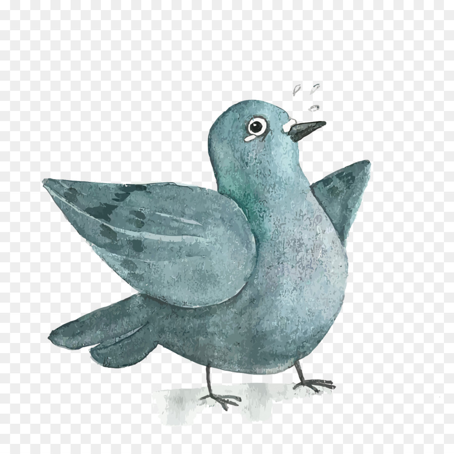 Oiseau Bleu，Dessin Animé PNG