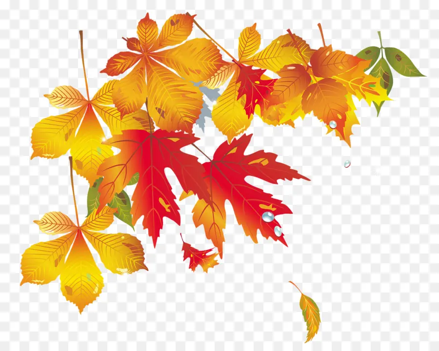 Feuilles D'automne，Automne PNG