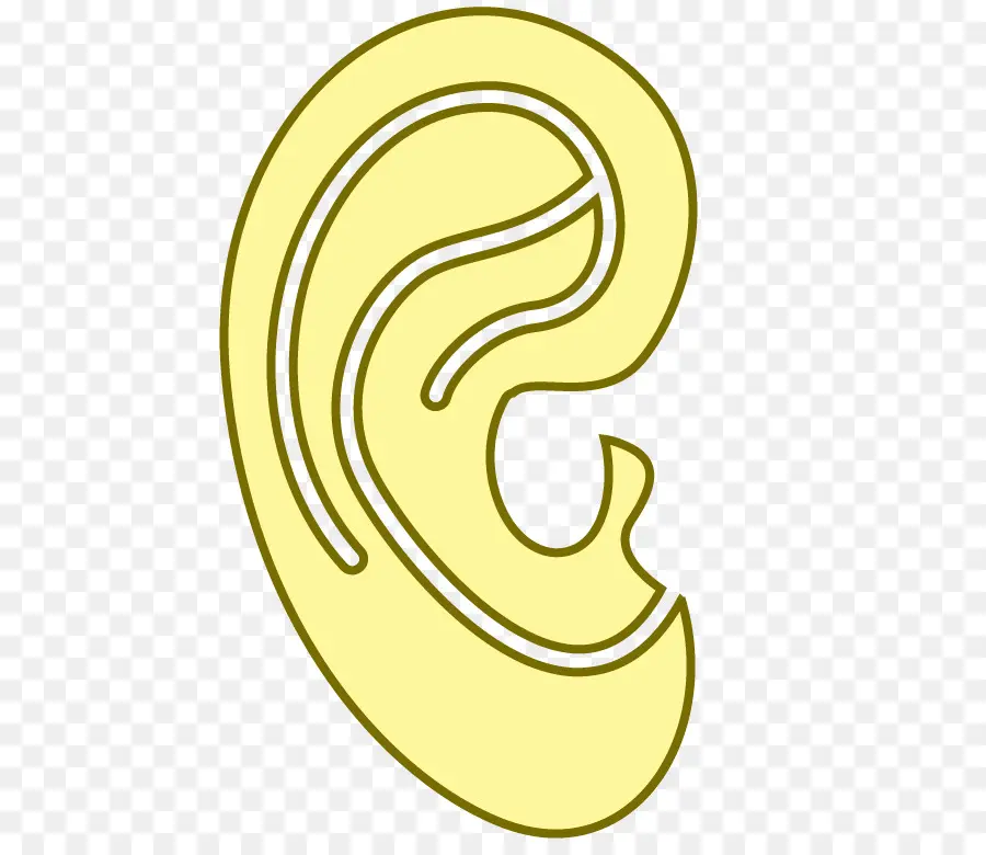 Oreille，Audience PNG