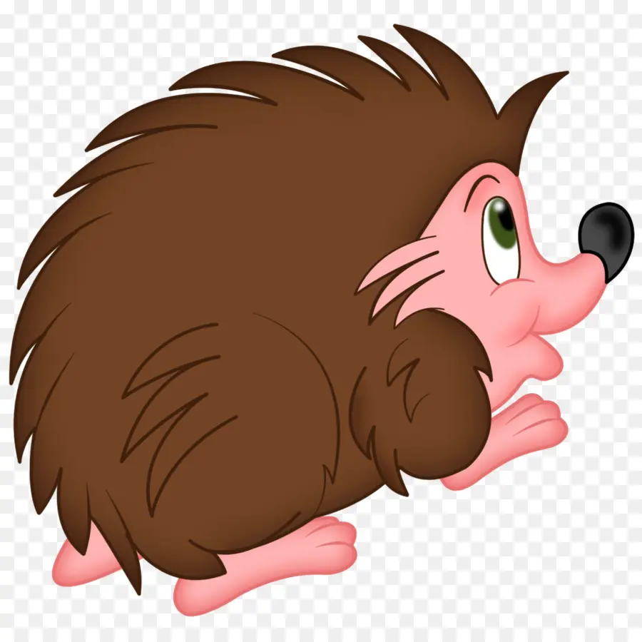 Hérisson，Baby Hedgehogs PNG