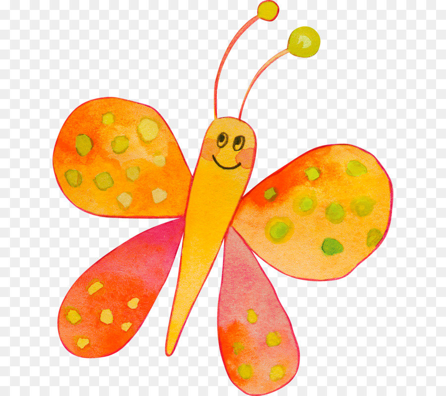 Papillon Coloré，Orange PNG