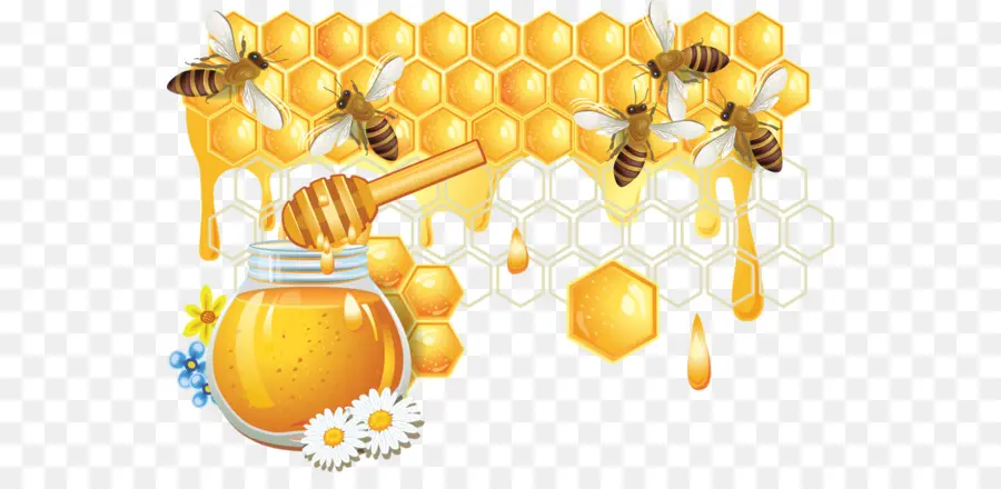 Abeille，L'abeille à Miel PNG