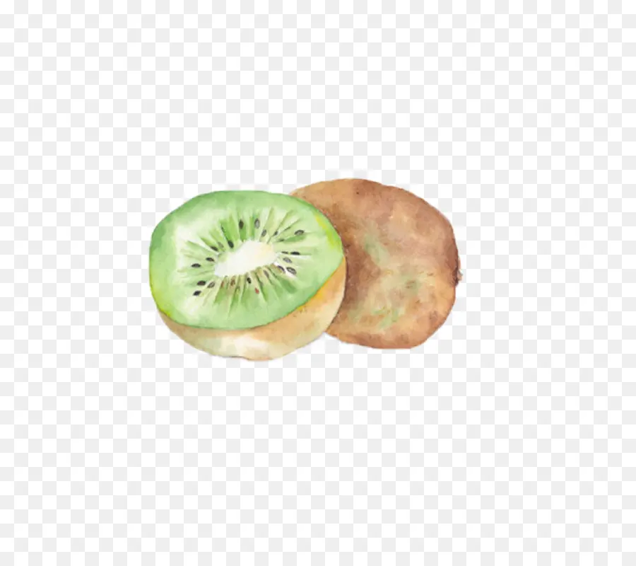 Les Kiwis，Peinture à L Aquarelle PNG