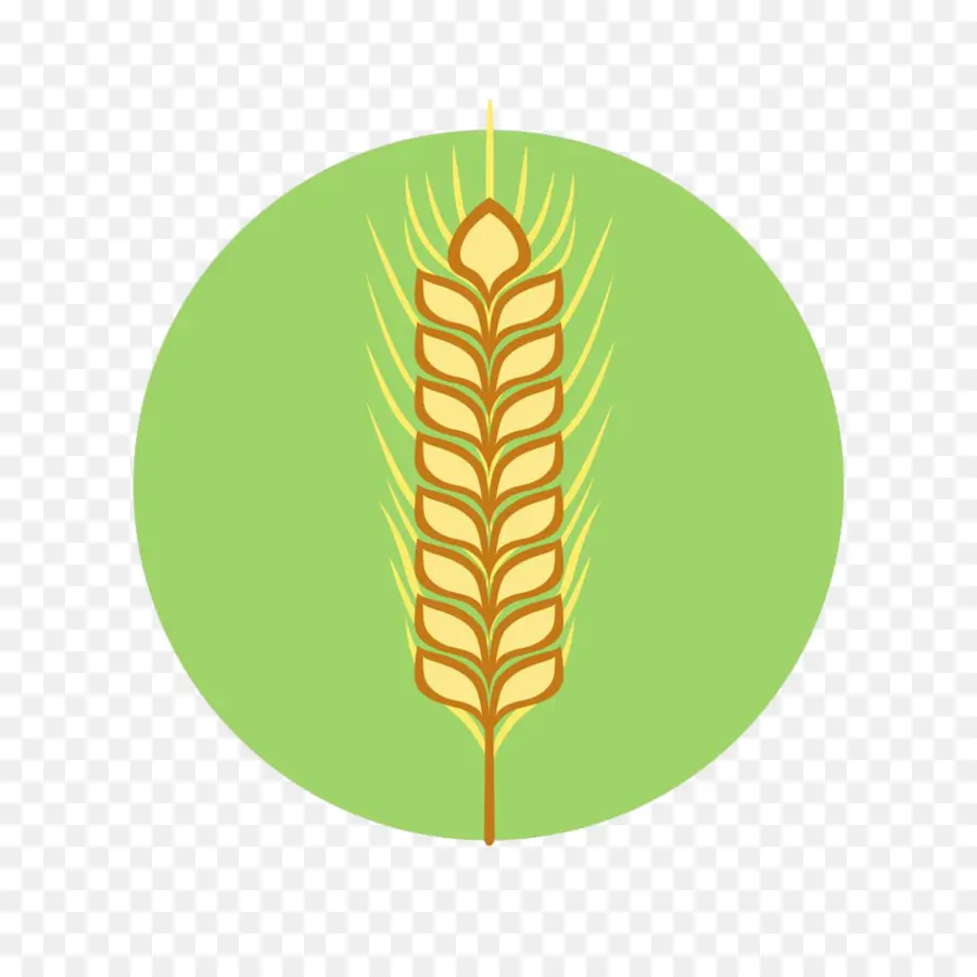 Blé，Grain PNG