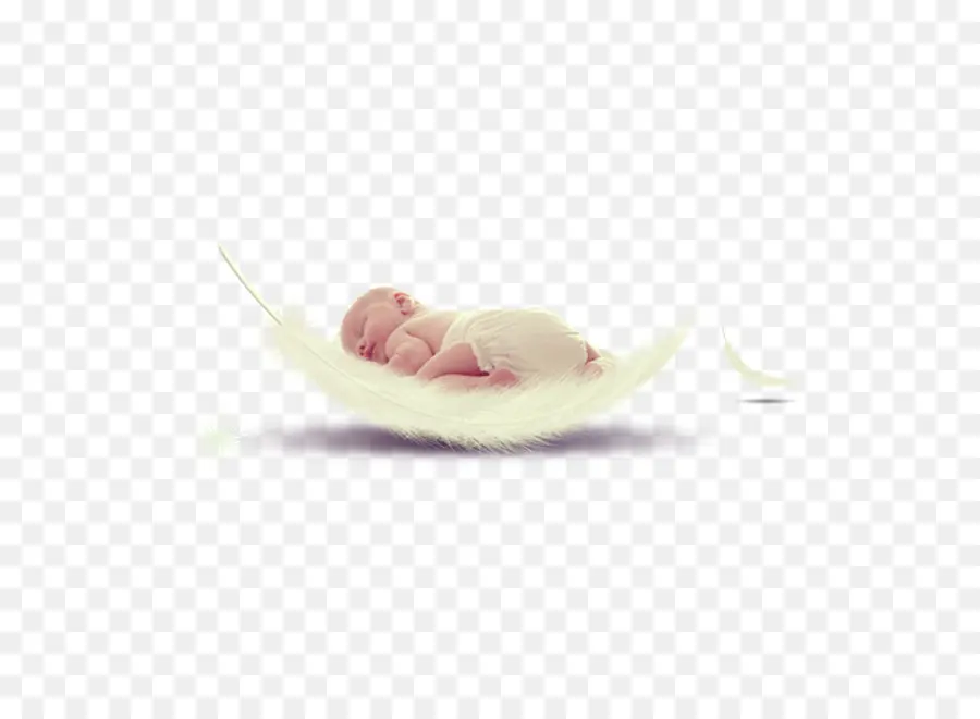 Bébé Endormi Sur Une Plume，Nouveau Né PNG