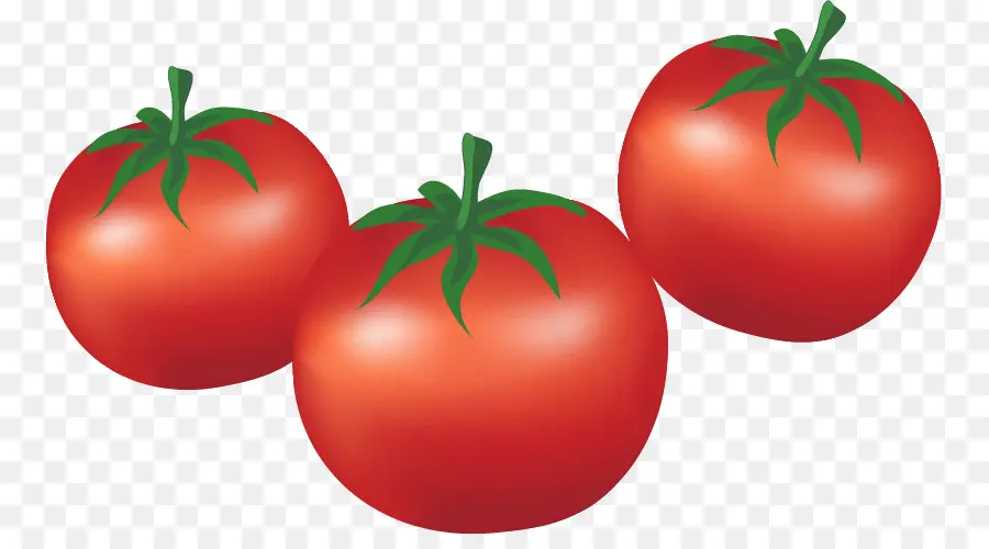 Tomate Prune，Tomate PNG