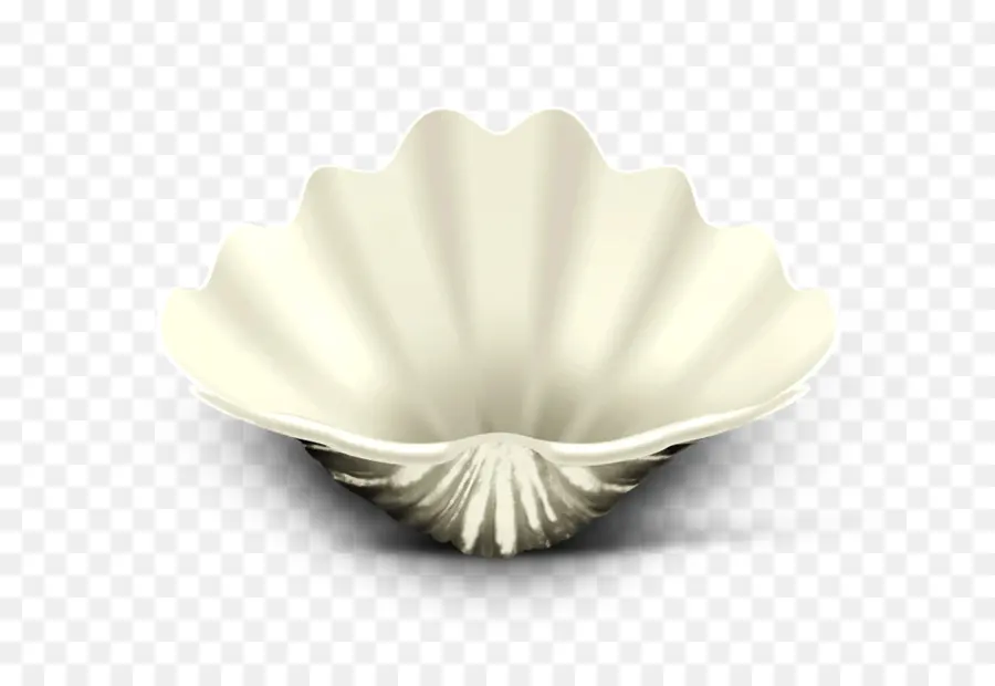 De La Vaisselle，Coquillage PNG