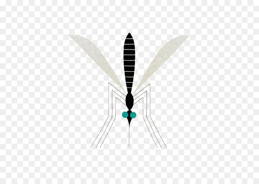 Insecte，Moustique PNG