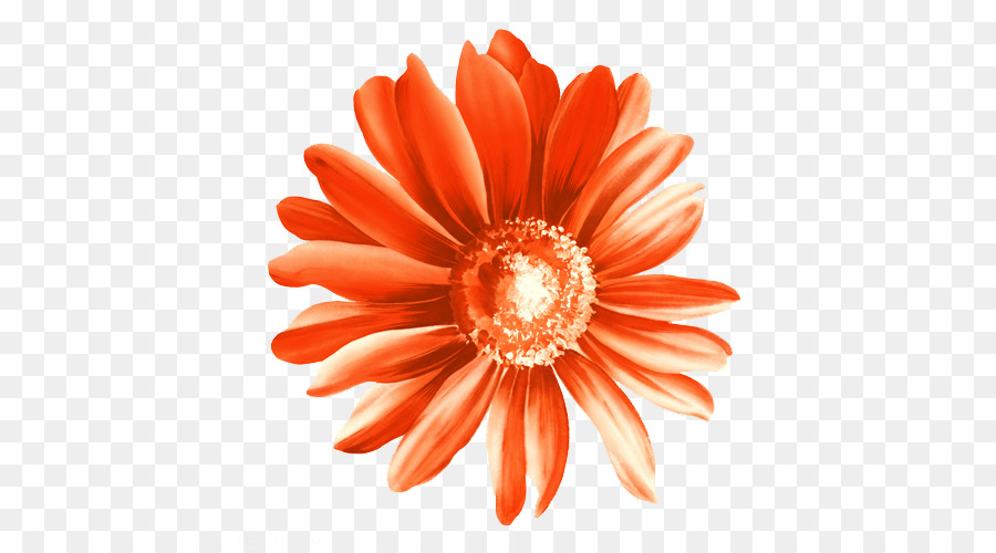 Fleur Rouge，Fleur PNG