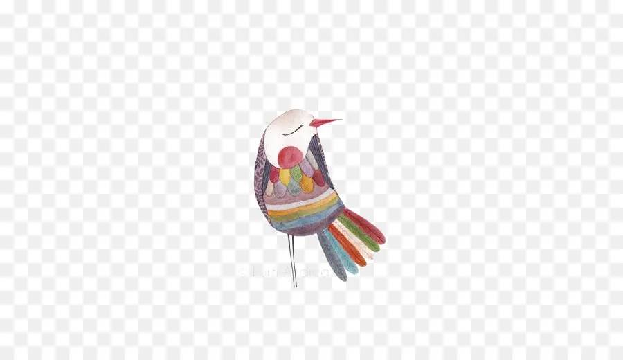 Oiseau Coloré，Arc En Ciel PNG