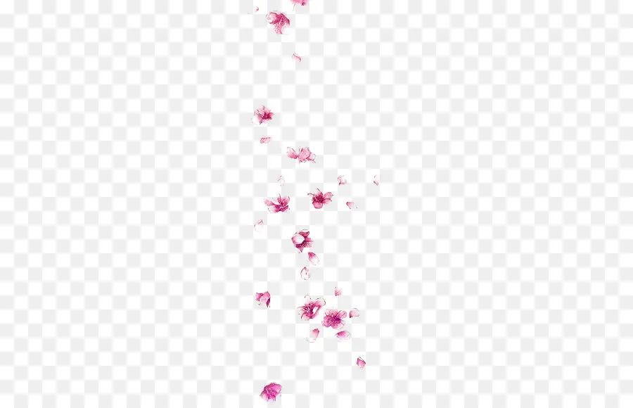 Pétales Roses，Fleur PNG