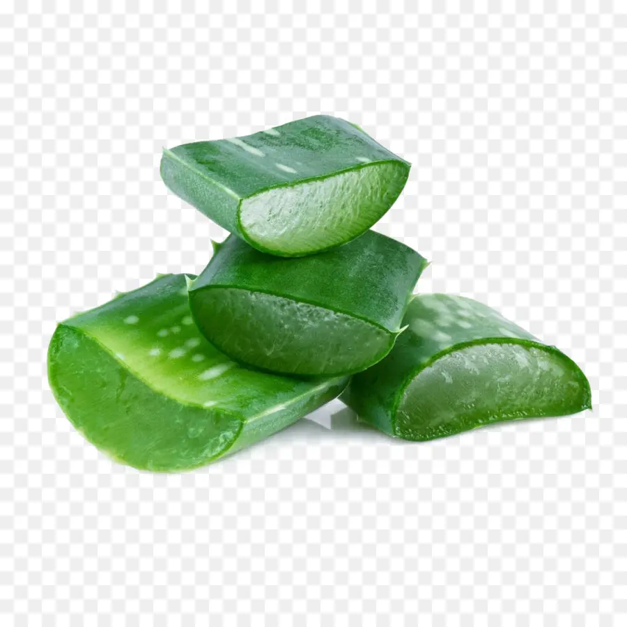 Aloe Vera，Vert PNG